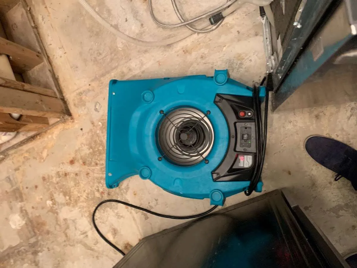 Air mover drying equipment for Mold Remediation & Removal in Glennville
