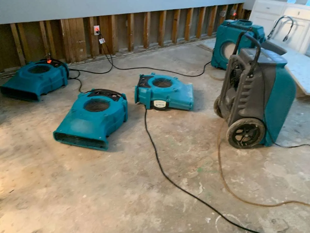 Odor Removal & Deodorization in Glennville, GA